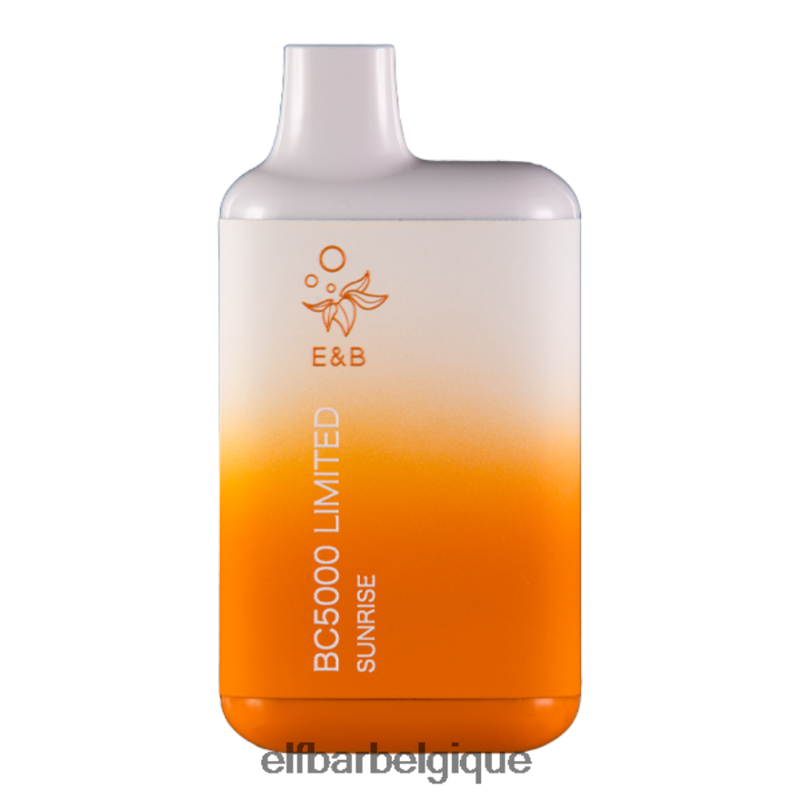 ELF BAR 600 Sunrise bc5000 consommateur - 50 mg - unique HNX4T282